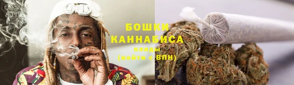 ГАЛЛЮЦИНОГЕННЫЕ ГРИБЫ Наволоки