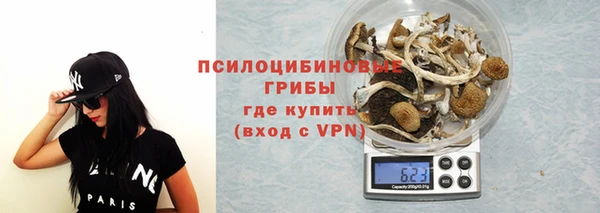 твердый Нея