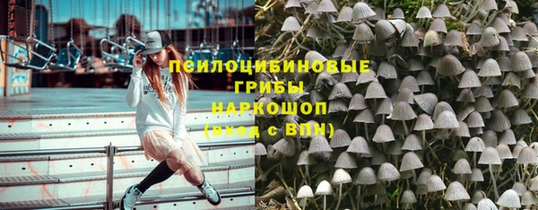 прущий лед Надым